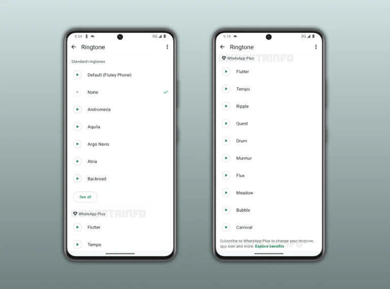 WA_PREMIUM_CHAT_MESSAGES_RINGTONES_WHATSAPP_PLUS_FEATURE_ANDROID